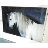 PICTURE OF A HORSE, on acrylic, 80cm x 121cm.