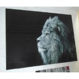 PICTURE OF A LION, on acrylic, 120cm x 180cm.