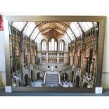 PHOTOGRAPH, of Hintze Hall - Natural History Museum, on acylic in a silver painted frame,