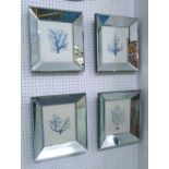 PRINTS, set of four, in bevelled mirrored frames, 35cm x 31cm.