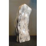 FOSSILISED WOOD, with a polished finish, black and white, 45cm H.