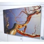 GOLDEN TREE BRANCHES, print under acrylic, 170cm x 110cm.