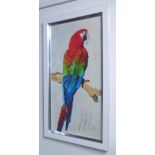 PICTURES OF TWO PARROTS, framed and glazed, 100cm x 50cm.