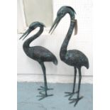 BRONZE GARDEN CRANES, a large pair, 'Male and Female',