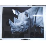 PICTURE, acrylic, of a rhinocerous, 160cm x 120cm.