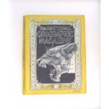 MARK POWELL, 'Lioness', original Bic Biro on 1940 vintage National Geographic cover, 25cm x 18cm,