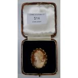 9 CARAT GOLD MOUNTED CAMEO BROOCH PIN