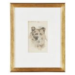 F.C.B. CADELL R.S.A., R.S.W. (SCOTTISH 1883-1937) COLLIE DOG, 1908 signed in pencil, conté and