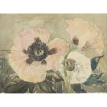 MARY NEWBERY STURROCK (1890-1985) POPPIES watercolour, signed lower right MARY STURROCK 28cm x 38cm