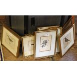 A set of seventeen ornithological prints, British birds, late 19th century, each 11.5cm x 15.5cm