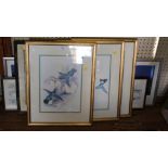 A set of three ornithological prints, two County map prints and two panoramic prints (7)