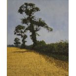 Anthony Amies  'The Cornfield',  oil on canvas, 76cm x 63cm