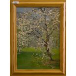 Peter Schneider (d.1983) Apple tree in blossom Oil on board, signed and dated 1942, 39cm x 27cm