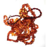 A collection of amber necklaces