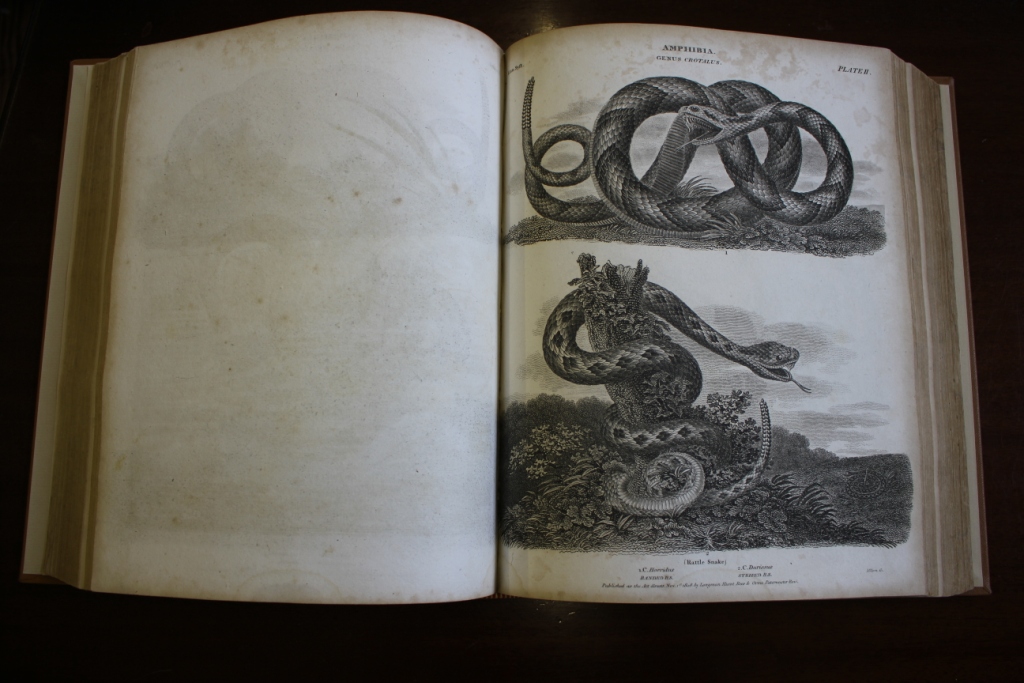 The Cyclopaedia of Arts, Science and Literature by Abraham Rees, Longman Press 1820 Vol V - Plates