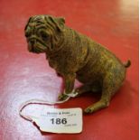 A cold painted bronze of a seated boxer dog, 8.5cm high