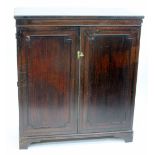 A 19TH CENTURY MAHOGANY LINEN PRESS the two panelled doors opening to reveal four sliding linen