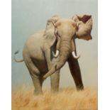 21ST CENTURY AFRICAN SCHOOL BULL ELEPHANT, oil on canvas, indistinctly signed and dated 2001 lower