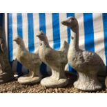 TWO COMPOSITE STONE CHICKENS each 44cm in height, a composite stone goose, two composite stone