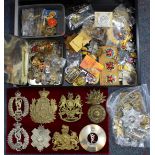A COLLECTION OF MILITARY BADGES to include the Duke of Albany's 72nd Own Highlanders, three