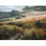 DAVID DIPNALL (20TH CENTURY ENGLISH SCHOOL) 'A view of the South Downs', oil on canvas, signed