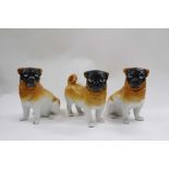 THREE 19TH CENTURY CONTINENTAL PORCELAIN PUG DOGS two seated, one standing, all approximately 20cm