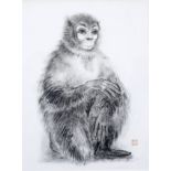 MADELEINE PEARSON (EARLY 20TH CENTURY ENGLISH SCHOOL) A study of a monkey, pen and wash, signed with