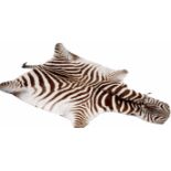 AN OLD FULL ZEBRA HIDE RUG 276cm nose to tail X 156cm wide