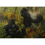 FREDERICK J. HAYCOCK (b.1948) A family of Silver Backed Gorillas, signed and dated '93, oils on