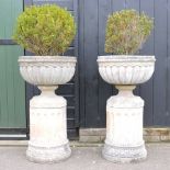 A pair of large stone planters, on column bases,