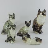 A collection of Winstanley pottery models of cats,