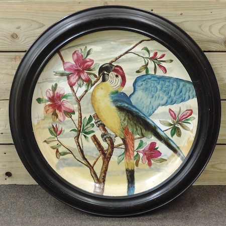 Continental school, parrot, on a pottery dish, circular, framed,