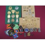 Selection of American Cap and Collar Badges cap badges include plated ROTC ... Gilt Norwich