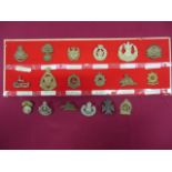 Good Selection of Canadian Cap Badges including white metal Queens Own Cameron Highlanders of Canada