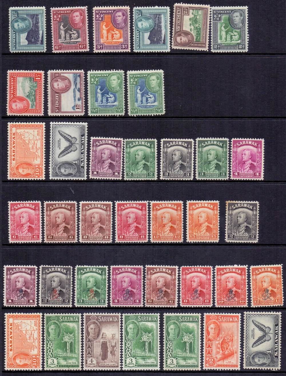 BRITISH COMMONWEALTH stamps , George VI accumulation of mostly mint stamps on 23 stockpages. - Image 5 of 5