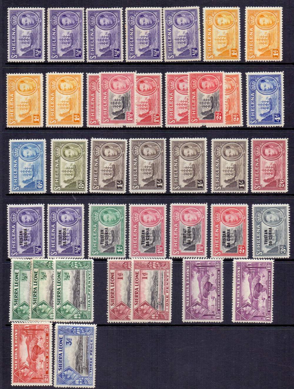 BRITISH COMMONWEALTH stamps , George VI accumulation of mostly mint stamps on 23 stockpages. - Image 4 of 5