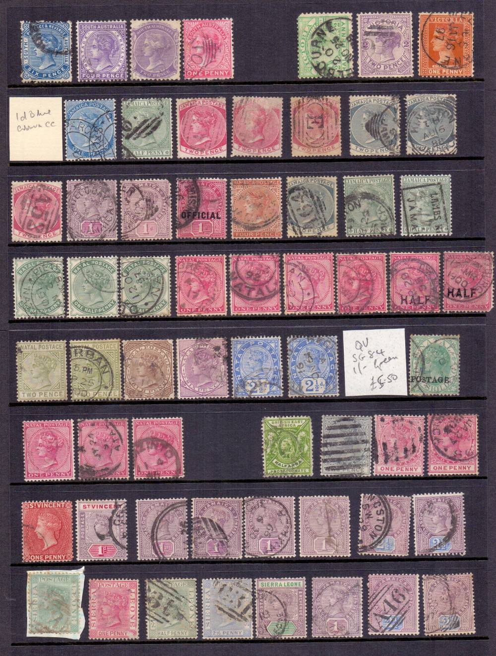 BRITISH COMMONWEALTH stamps , accumulation mint & used on stockpages in album. - Image 2 of 4