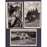 POST CARDS : KENT, three photographic postcards depicting views of Whitebread's Hop Gardens,