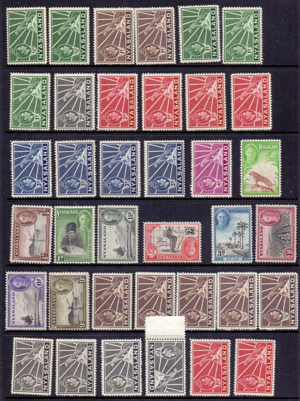 BRITISH COMMONWEALTH stamps , George VI accumulation of mostly mint stamps on 23 stockpages. - Image 3 of 5