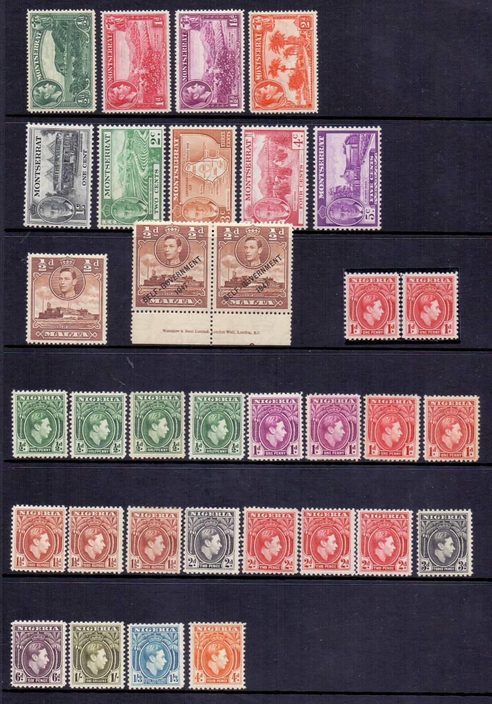 BRITISH COMMONWEALTH stamps , George VI accumulation of mostly mint stamps on 23 stockpages. - Image 2 of 5