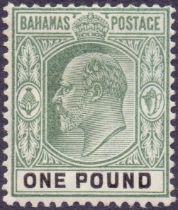 Bahamas Stamps : 1902 £1 Green and Black