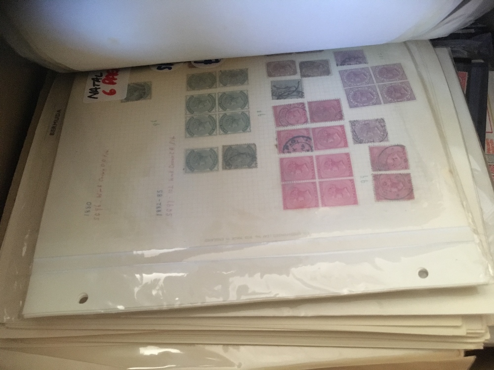 STAMPS : BRITISH EMPIRE on pages and part collections some better stamps noted,