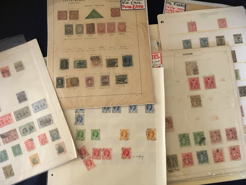 STAMPS : BRITISH EMPIRE on pages and part collections some better stamps noted, - Image 3 of 4