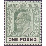 BAHAMAS STAMPS : 1902 £1 Green and Black ,