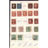 STAMPS : 14 old stamp club approval books, some better stamps noted throughout,