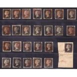 GREAT BRITAIN STAMPS : Collection of 25 Penny Blacks on stock page, many four margin examples,