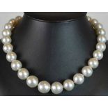 18ct White Gold South Sea Pearl Necklace