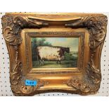 A reproduction picture of a Shorthorn cow and two prints