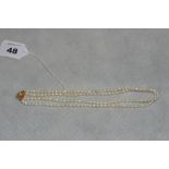 A double strand freshwater pearl necklet