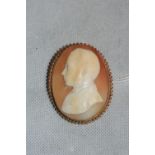 A shell portrait cameo brooch in gold marked 9ct